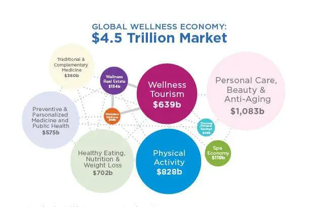 wellness industry