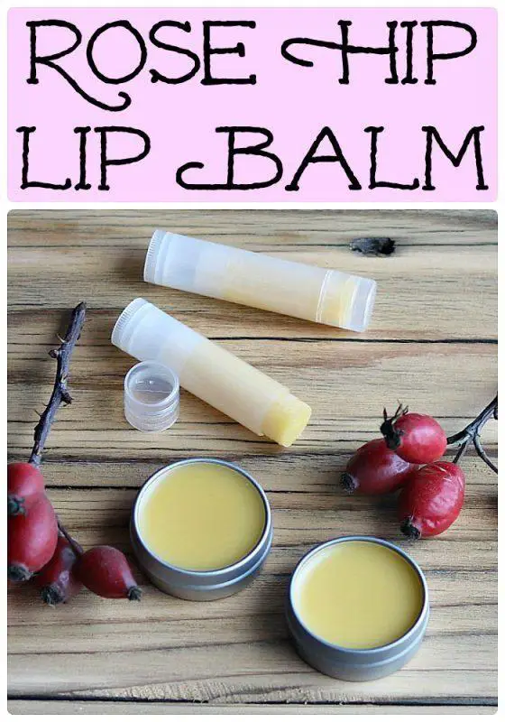 Rose Hip Lip Balm for Soothing Dry Lips | Recipe | The balm, Lip balm, Lip balm recipes