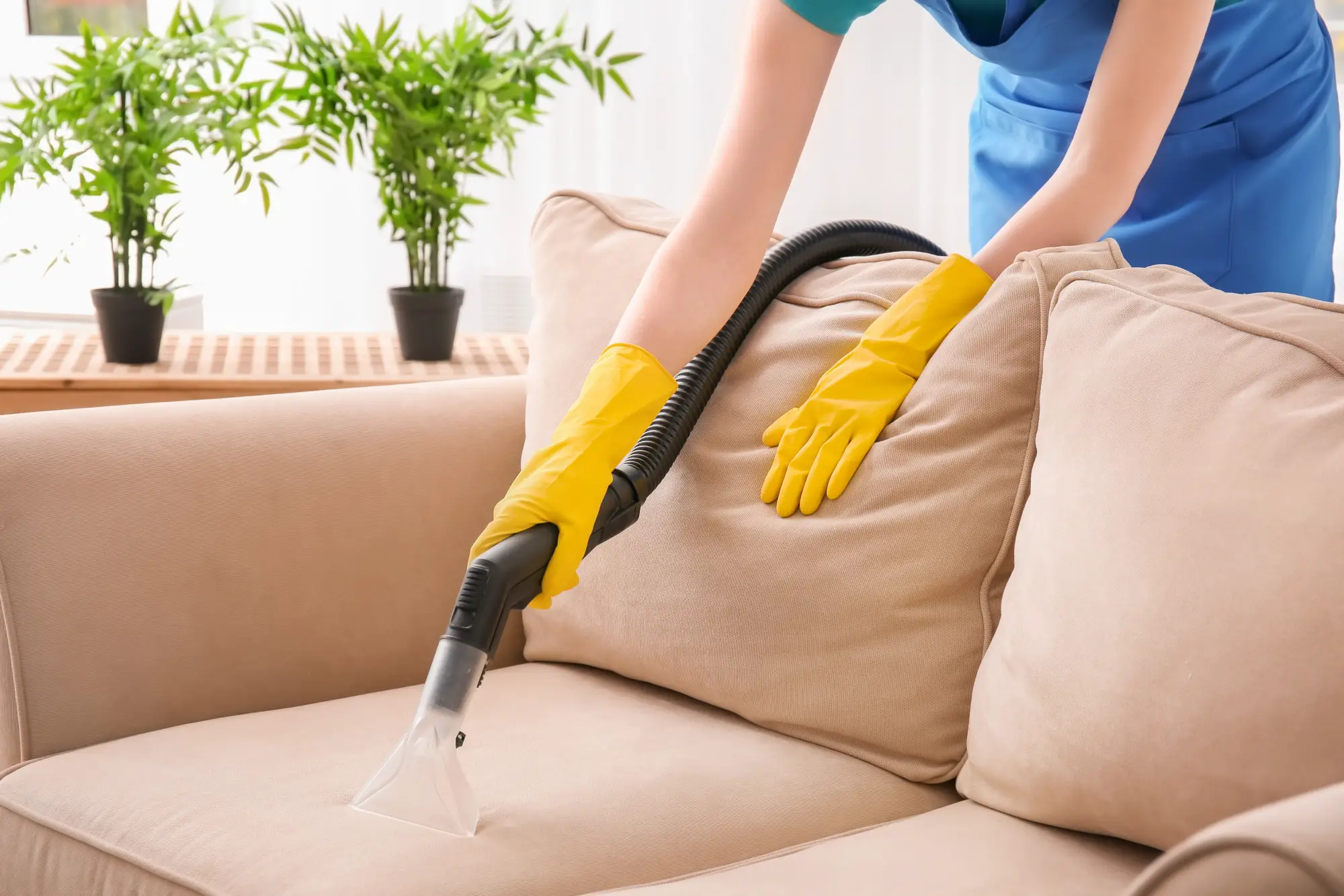 the definitive guide to clean furniture